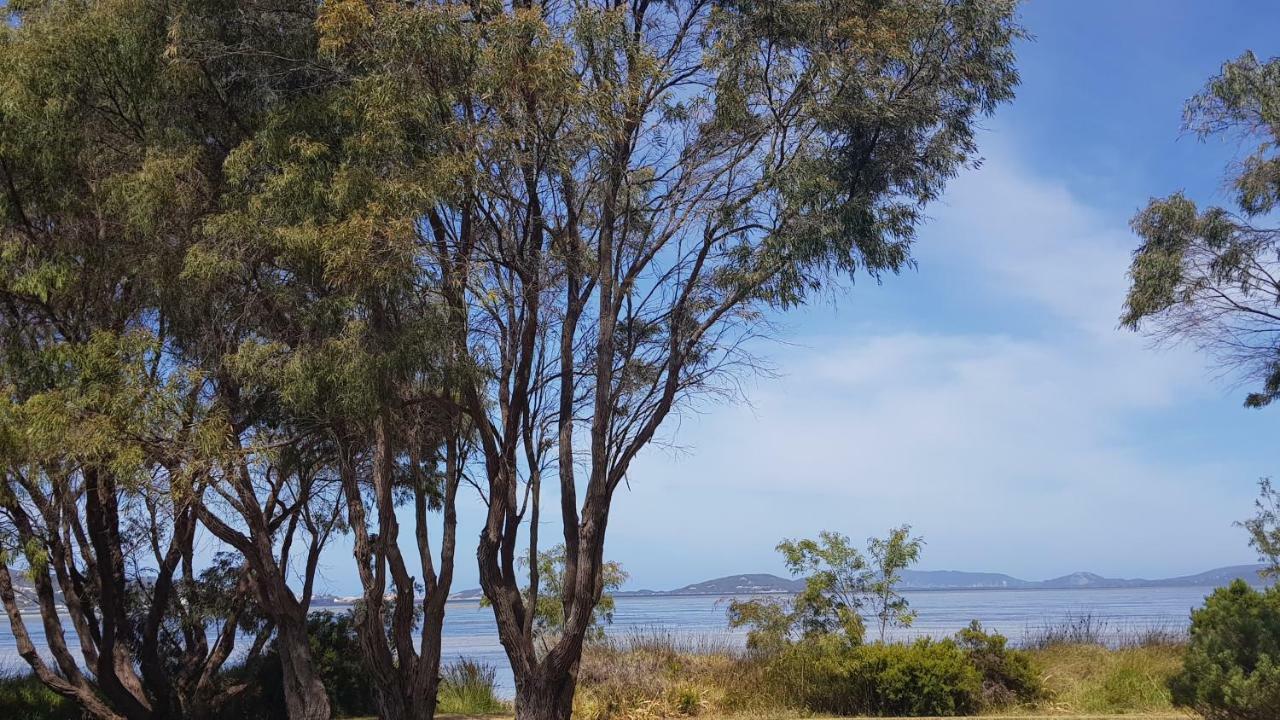 Lilacs Waterfront Villas&Cottages Albany Esterno foto